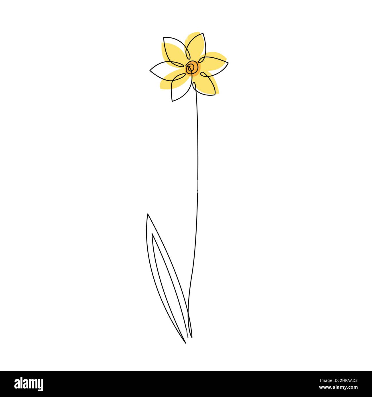 Daffodil flower in continuous line drawing style. Black line sketch on