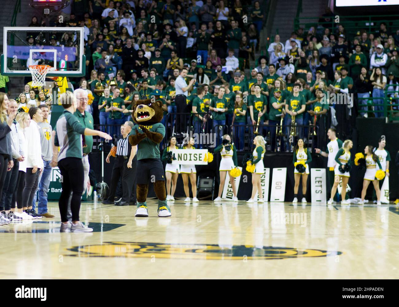 February 19 2022:Baylor Bears mascot during the 2nd half of the NCAA Basketball game between the TCU Horned Frogs and Baylor Bears at Ferrell Center in Waco, Texas. Matthew Lynch/CSM Stock Photo