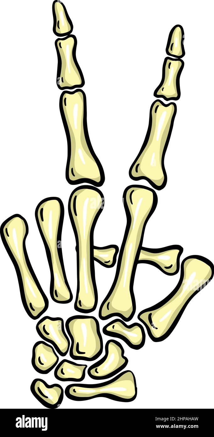 Cartoon skeleton hand hi-res stock photography and images - Alamy Cartoon skeleton hand hi-res stock photography and images - Alamy