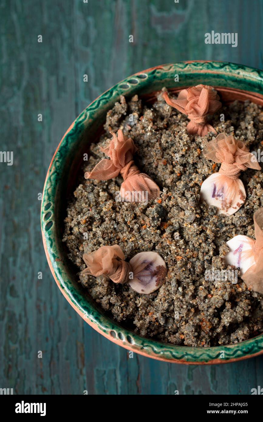 Stratification of garden strawberry seeds in wet sand, garden still