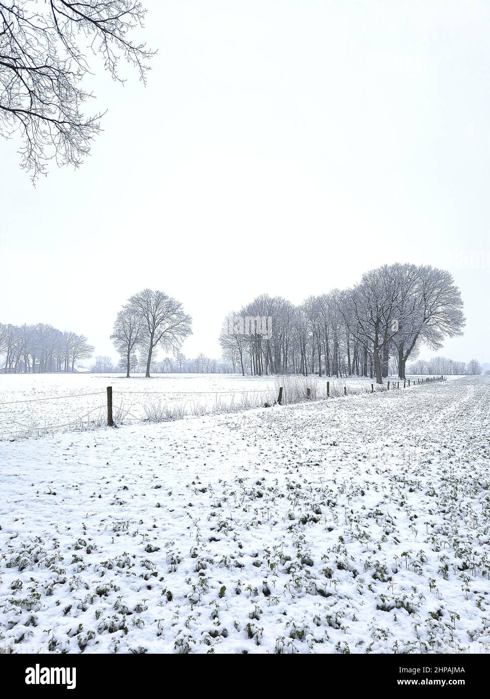 Snow covered field scenery hi-res stock photography and images - Alamy