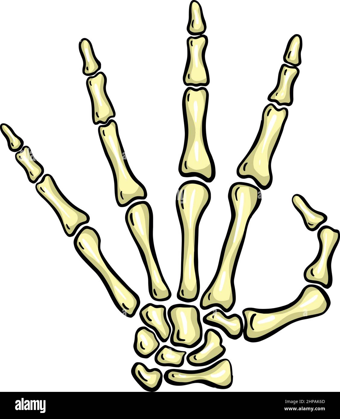Cartoon skeleton hand hi-res stock photography and images - Alamy Cartoon skeleton hand hi-res stock photography and images - Alamy