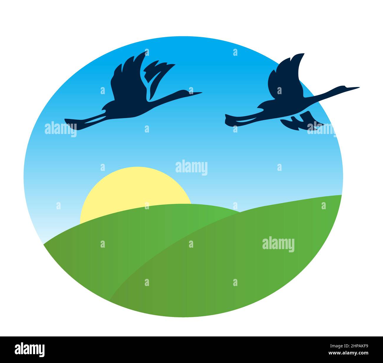 birds flying over the green fields - vector illustration Stock Vector