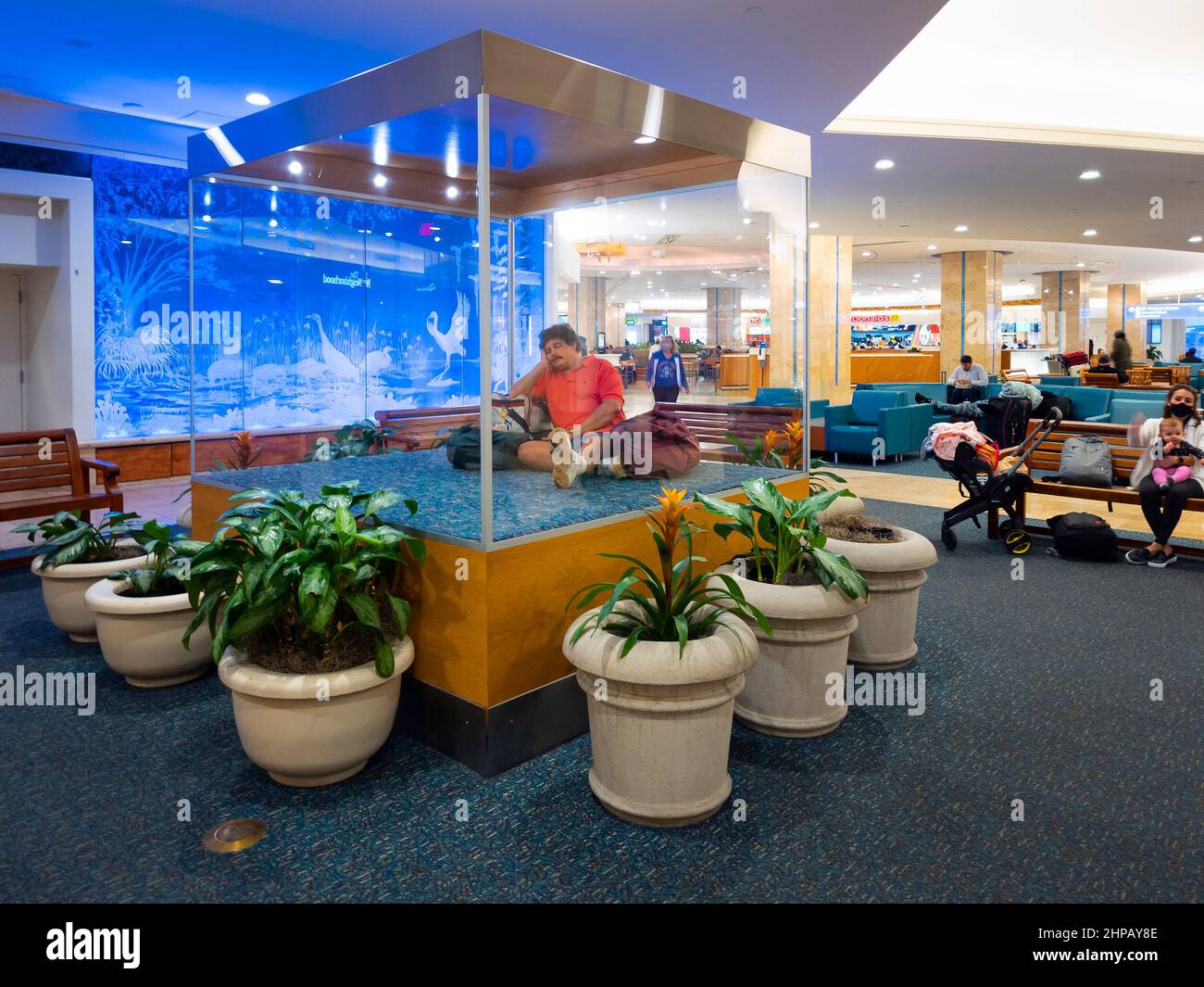 Orlando sculpture hires stock photography and images Alamy