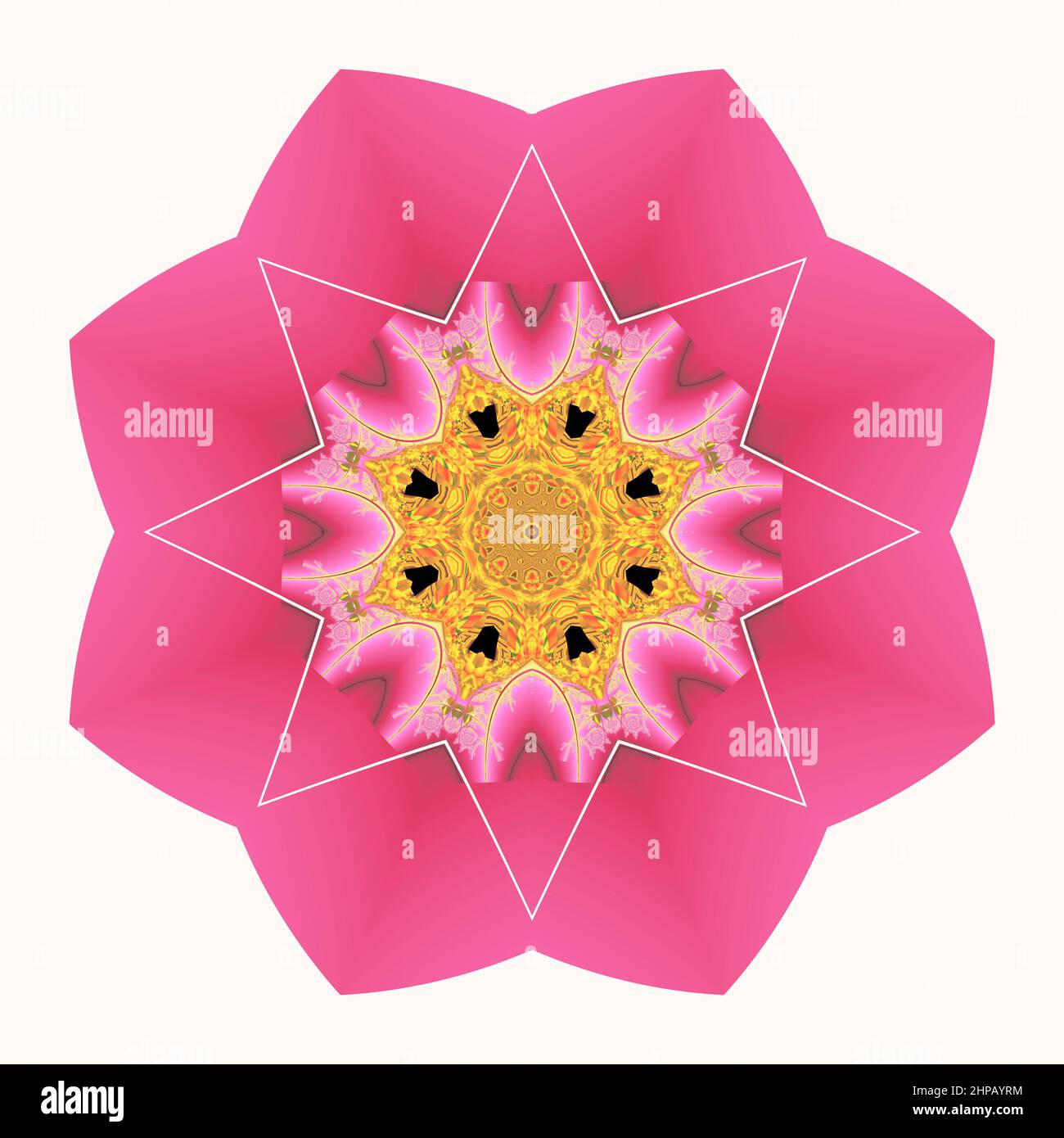 Pink Flower fractal design Stock Photo