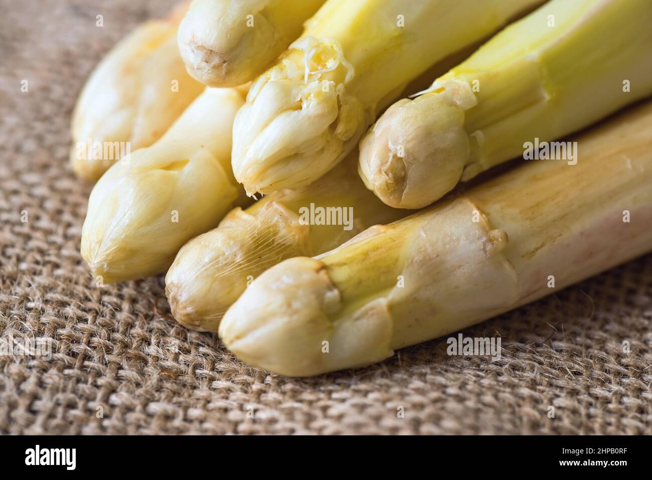 White asparagus- bunch of raw spargel on rustic rough jute background, closeup. Stock Photo