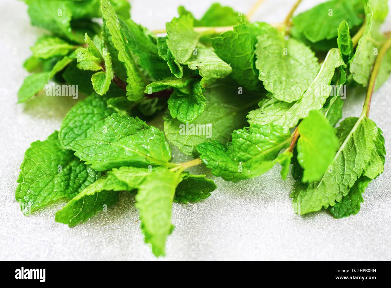 Bunch of mentha (mint) leaf on silver background. Closeup. Stock Photo