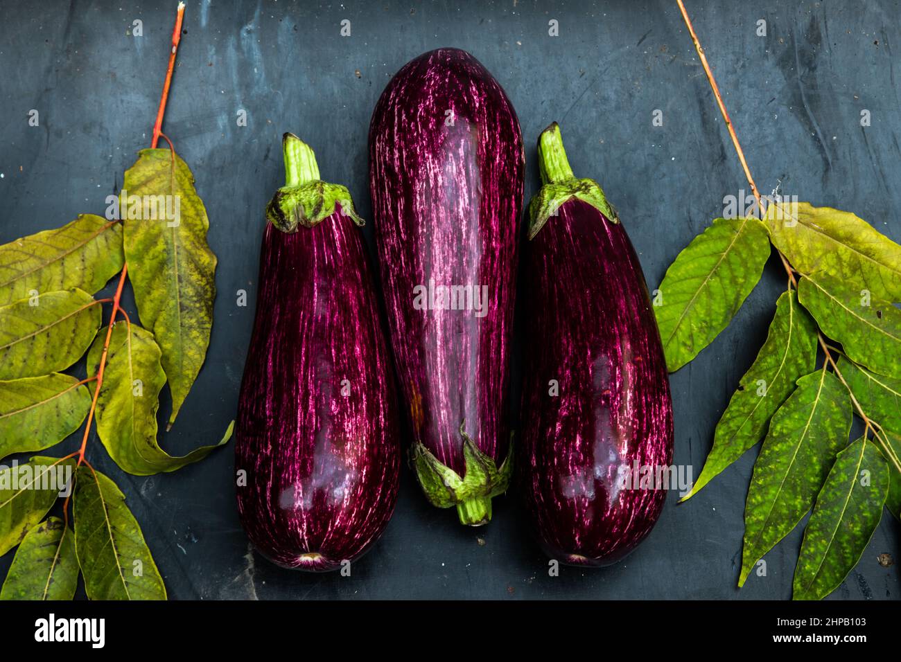 Three purple aubergine with leaf on blue background Stock Photo Alamy