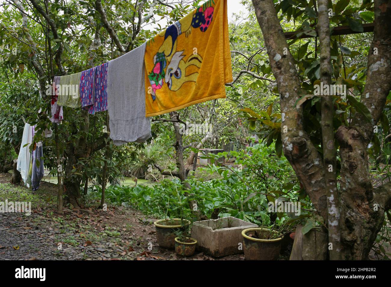 Washing drying in a garden, Tân Thạch, Châu Thành, Bến Tre, Vietnam Stock Photo