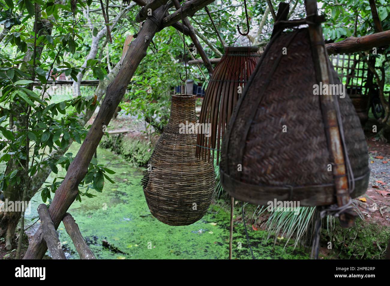 Garden with fishpond and bamboo fish-traps in Tân Thạch, Châu Thành, Bến Tre, Vietnam Stock Photo