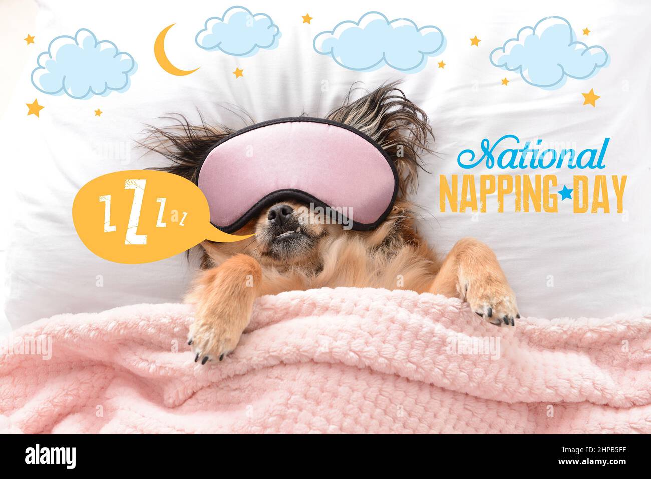 Cute dog with sleep mask in bed. National Napping Day Stock Photo Alamy