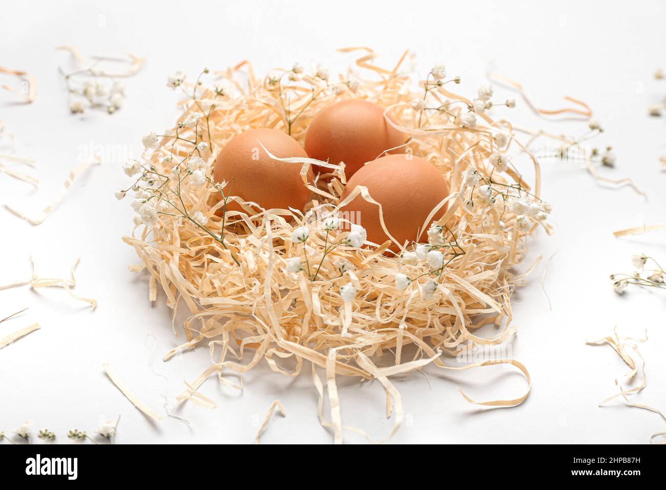 Nest with natural Easter eggs and gypsophila flowers isolated on white ...