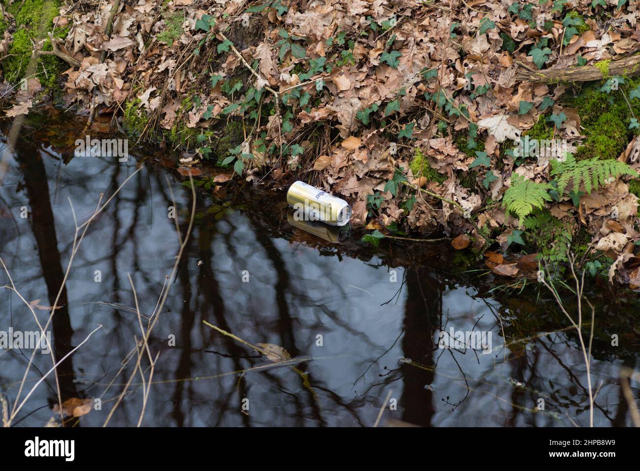 empty beer can dropped in a ditch Stock Photo