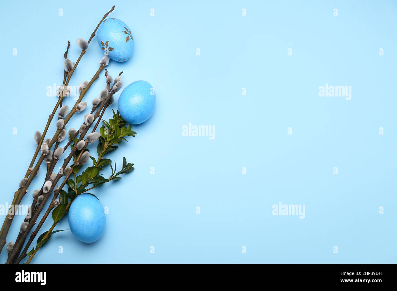 Painted Easter eggs and pussy willow branches on blue background Stock ...