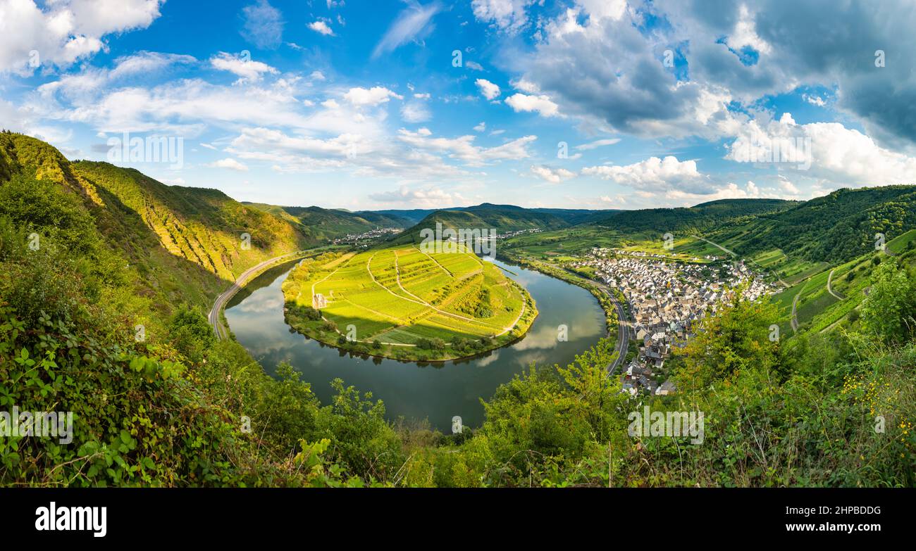 Panoramic view of a riverbend of the Moselle River in the Eifel village of Bremm in Germany in summer. Seen from the Calmont vineyards with blue sky. Stock Photo