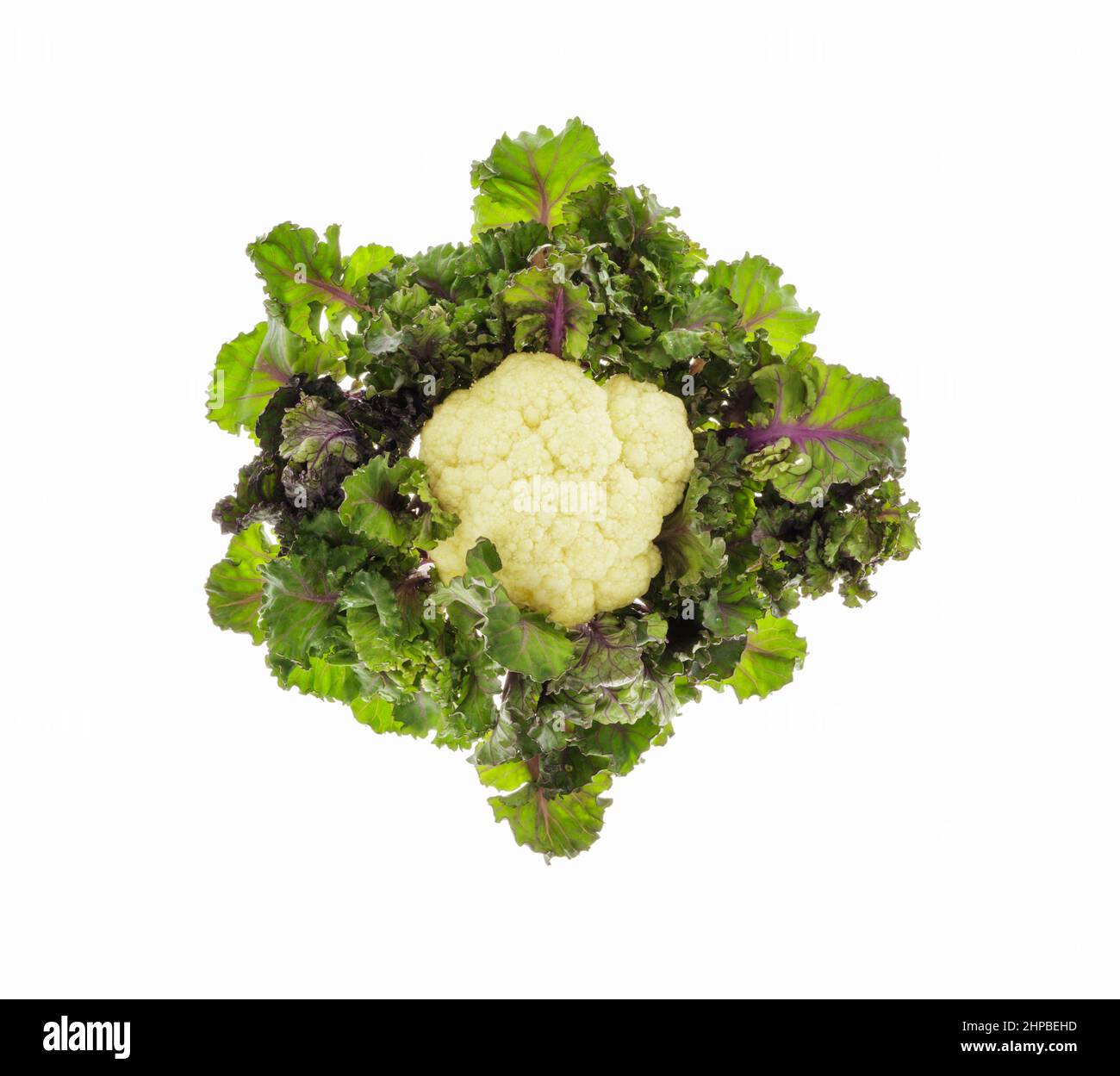 Fresh Cauliflower and Kalettes arranged in a circle Stock Photo