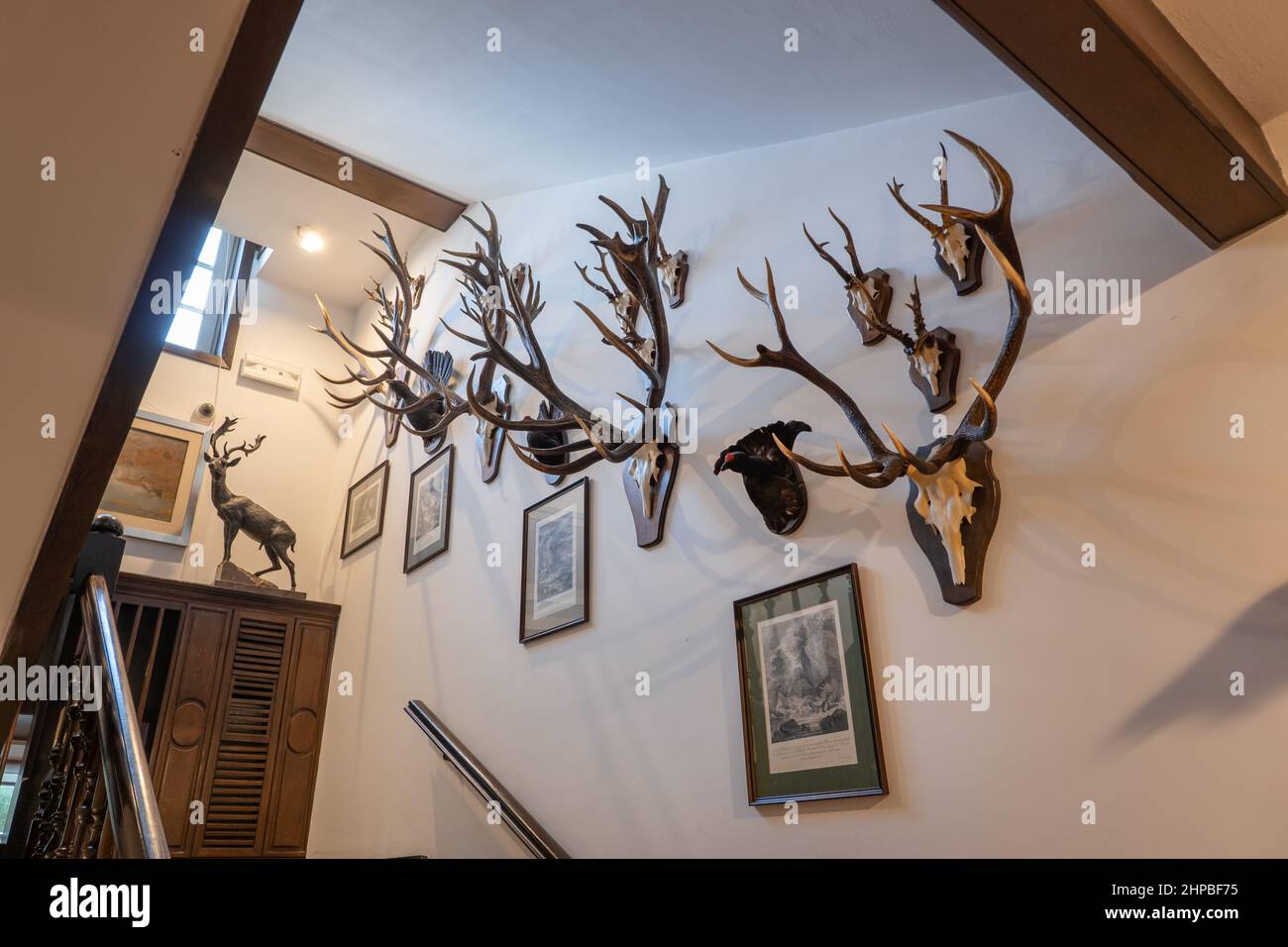 Antlers on staircase wall in Museum of Hunting and Horsemanship in Royal Lazienki Park in Warsaw, Poland. Stock Photo