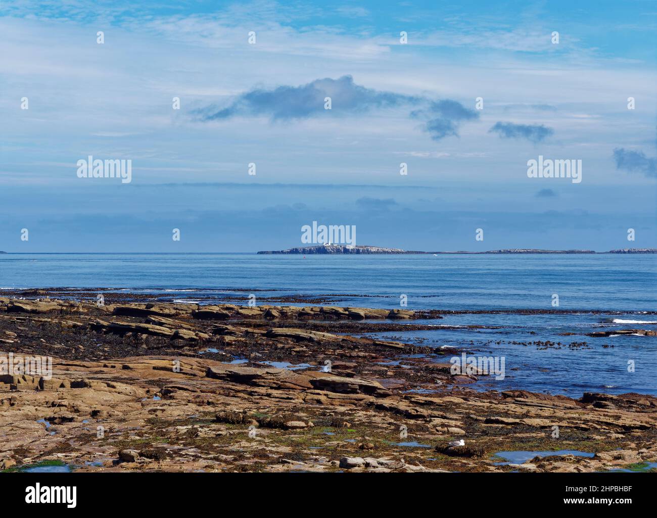 The View across the Tumbler Rocks at Low Tide at Seahouses and across to the Inner Farne Islands and its lighthouse. Stock Photo