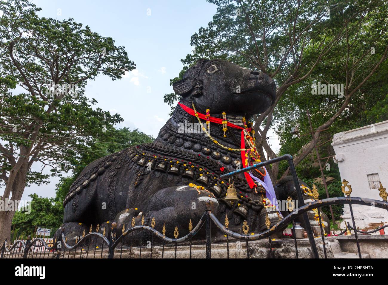 350 year old monolithic statue of Nandi (Bull), Chamundi Hill, Mysore, India. South Indian Temple, Hindu religious place. Mysore Maharaja Stock Photo - Alamy 350 year old monolithic statue of Nandi (Bull), Chamundi Hill, Mysore, India. South Indian Temple, Hindu religious place. Mysore Maharaja Stock Photo - Alamy