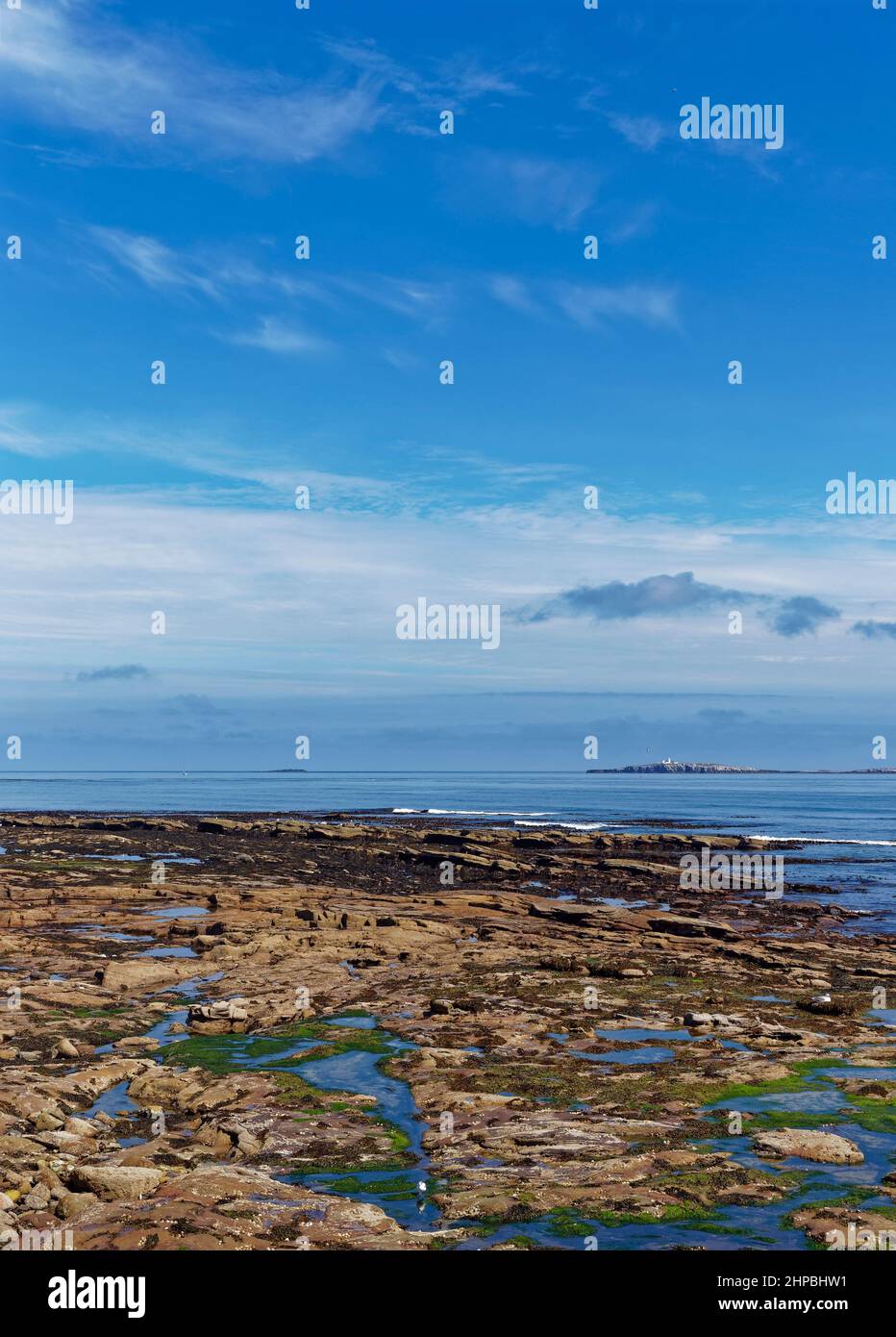 Low Tide at Seahouses on the Northumberland Coast looking over to the Farne Islands on a bright Summers day in June. Stock Photo