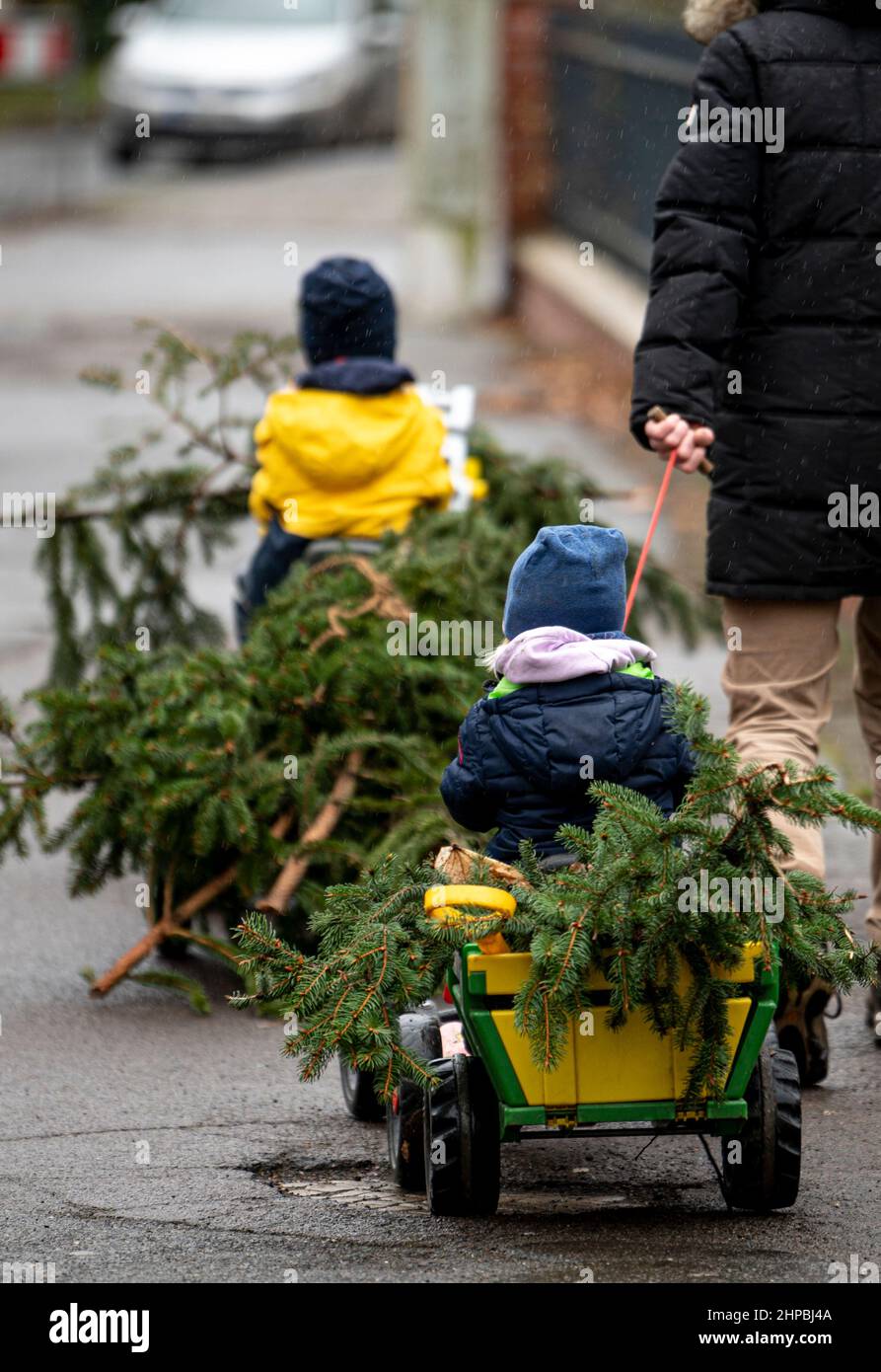 Berlin, Germany. 20th Feb, 2022. Two children are cleaning up downed branches with two small toy tractors. Credit: Fabian Sommer/dpa/Alamy Live News Stock Photo