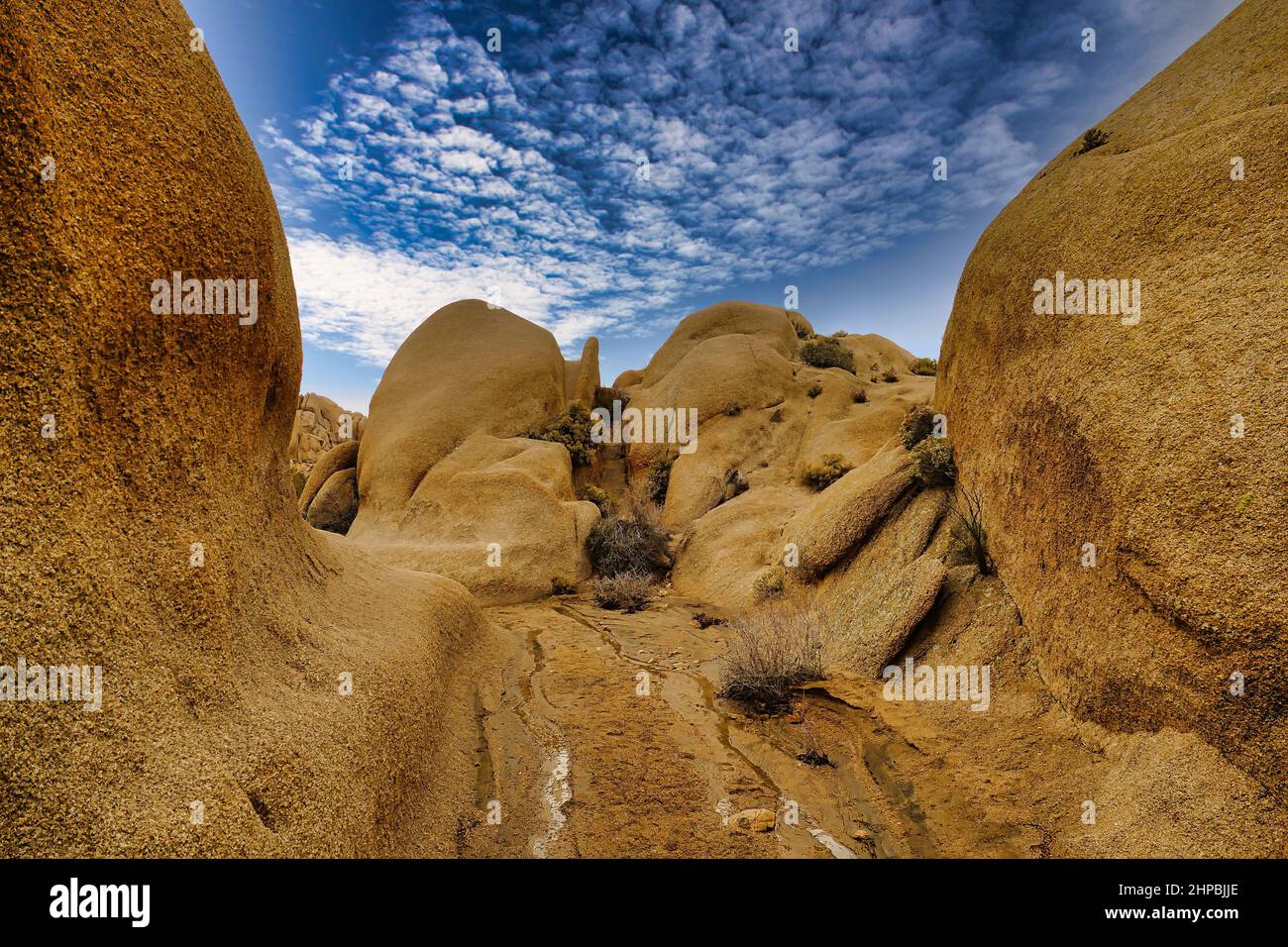 Impressive eroded yellow rock formations like a giant gateway in Joshua Tree National Park, near Jumbo Rock, Mojave Desert, California, USA Stock Photo