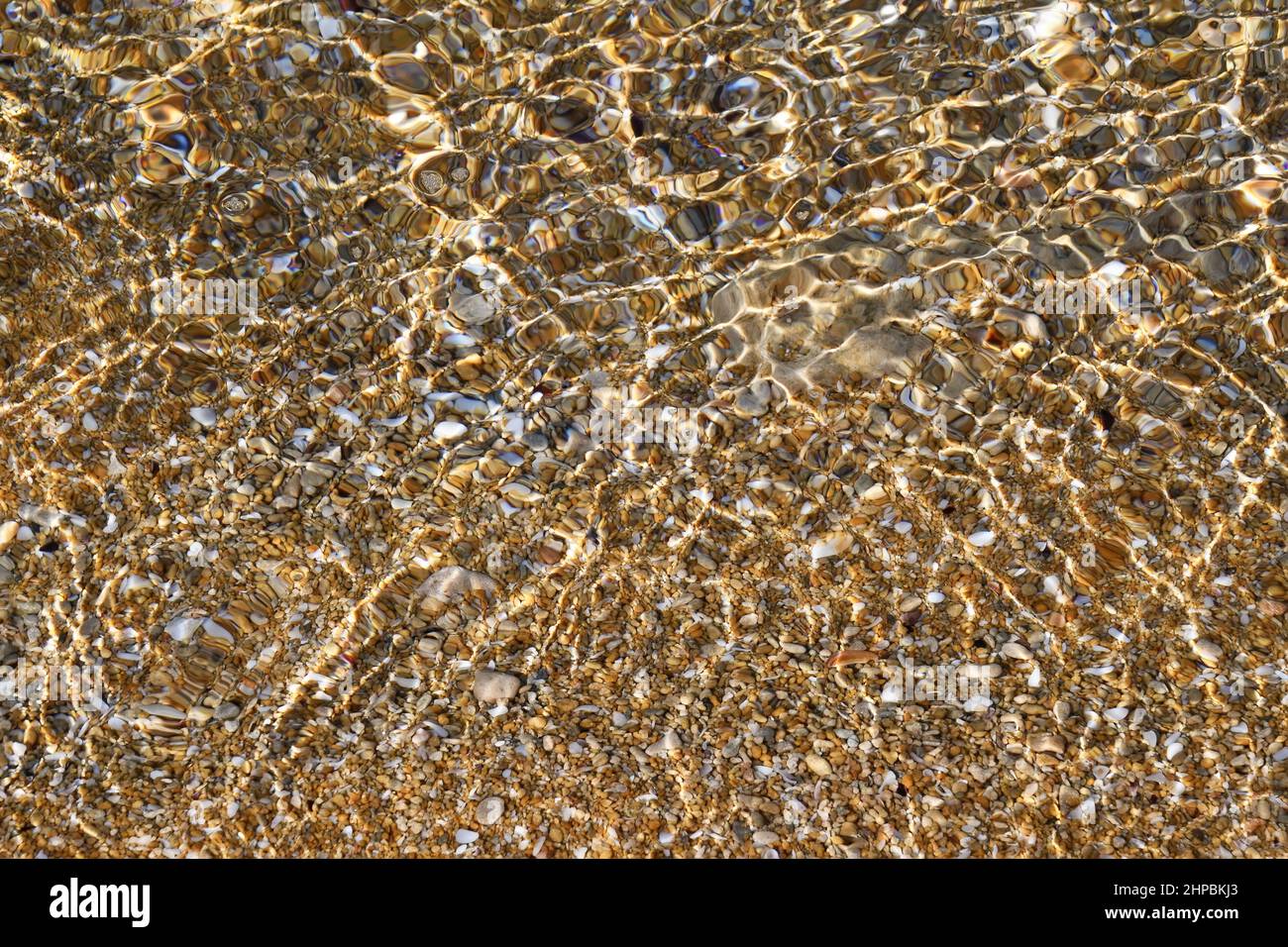 Shells and pebbles on the seashore Stock Photo