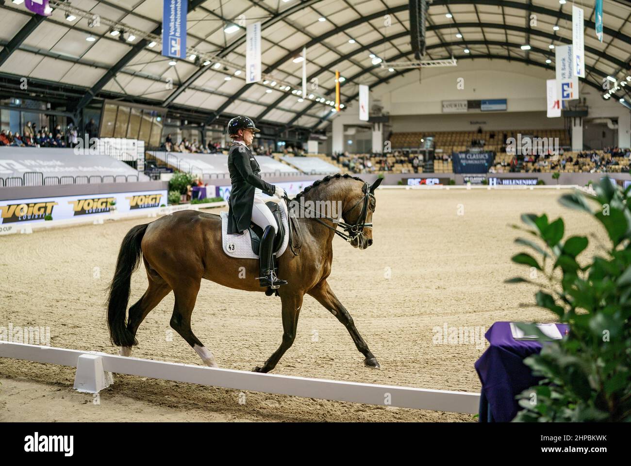 20 February 2022, SchleswigHolstein, Neumünster Equestrian sport