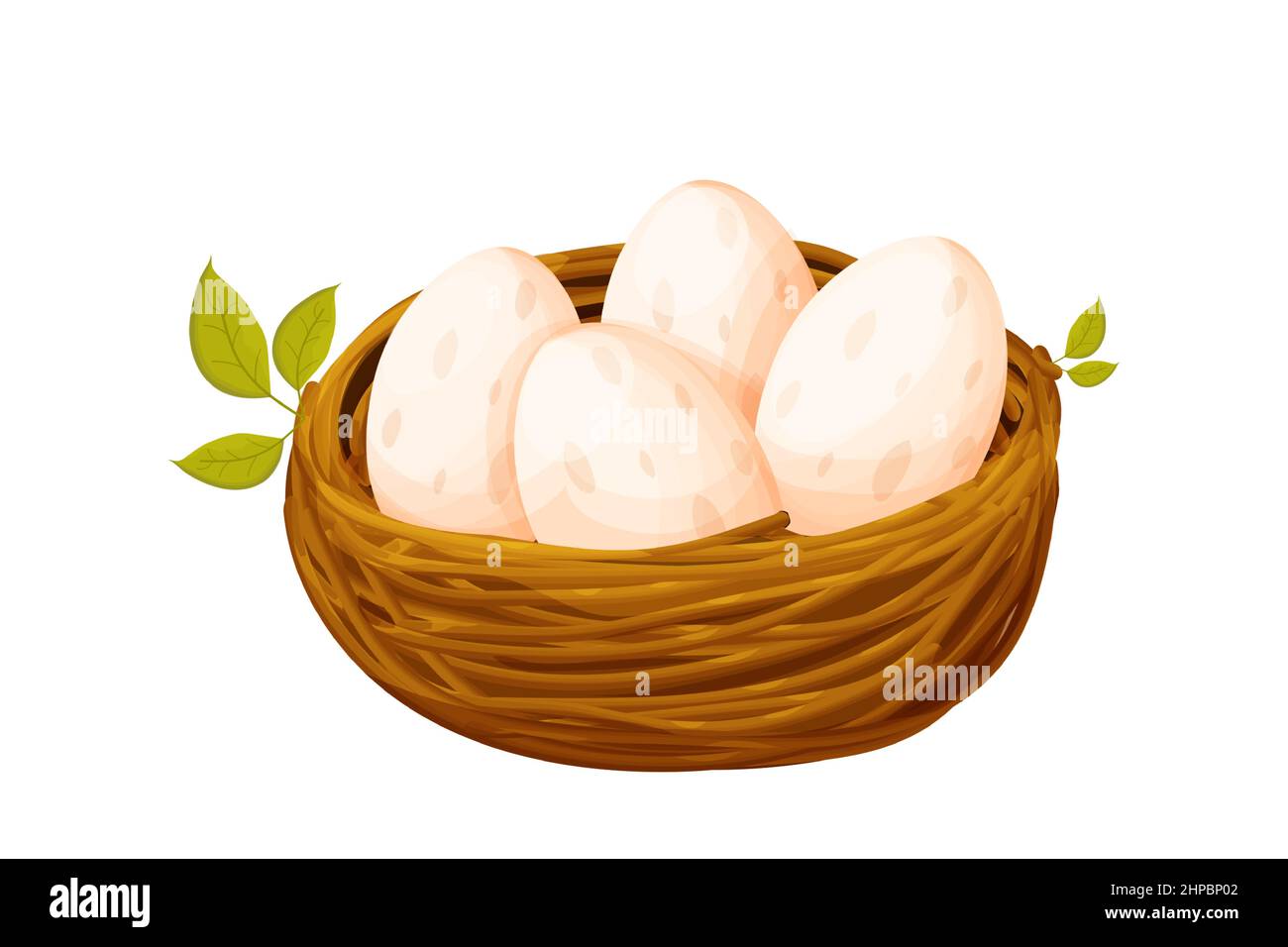 Bird nest from sticks with eggs decorated with leaves in cartoon style  isolated on white background. Spring clip art, nestling. new life. Vector  illustration Stock Vector Image & Art - Alamy