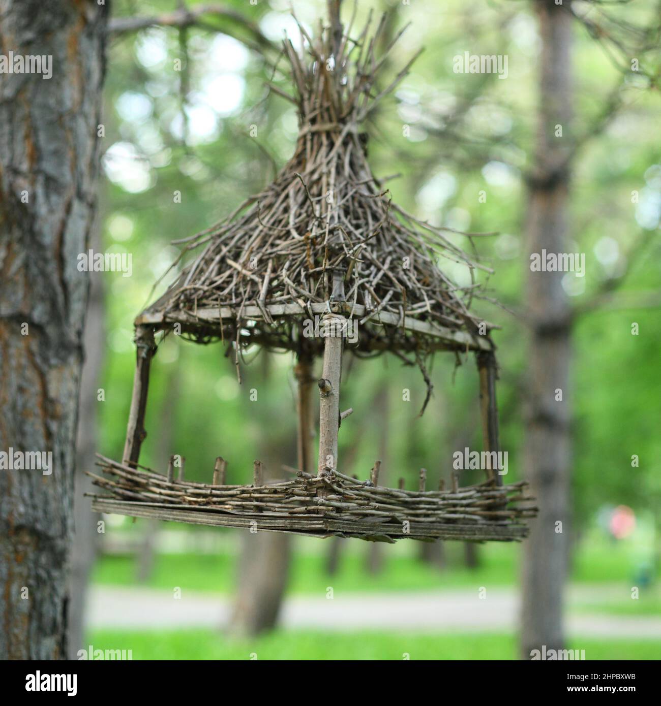 Homemade bird feeder hires stock photography and images Alamy