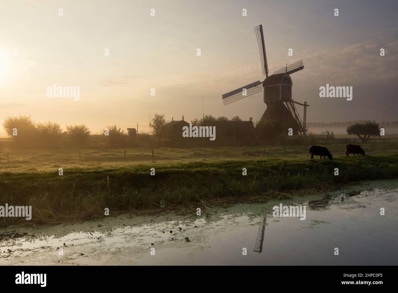 Windmill the Wingerdse Molen near Bleskensgraaf in the Dutch region Alblasserwaard Stock Photo