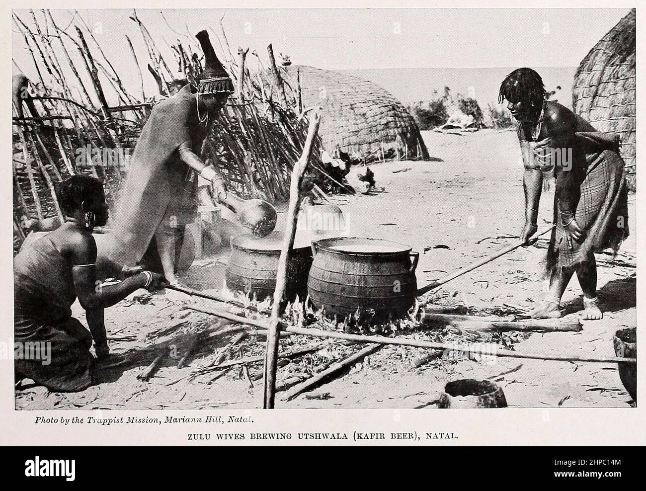ZULU WIVES BREWING UTSHWALA (KAFIR BEER), NATAL, South Africa from the book ' The living races of mankind ' a popular illustrated account of the customs, habits, pursuits, feasts & ceremonies of the races of mankind throughout the world by Sir Harry Hamilton Johnston, and Henry Neville Hutchinson Published in London by Hutchinson & Co. in 1902 Stock Photo