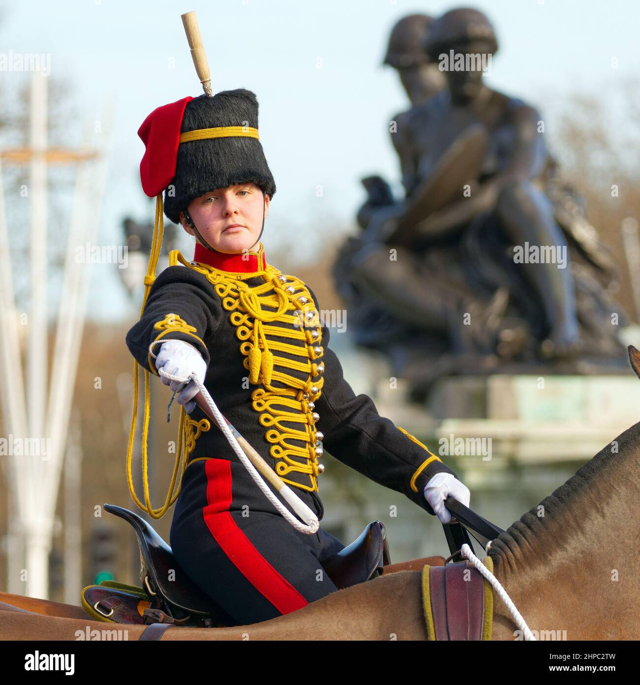 Horse guards parade kings troop royal horse artillery Banque de
