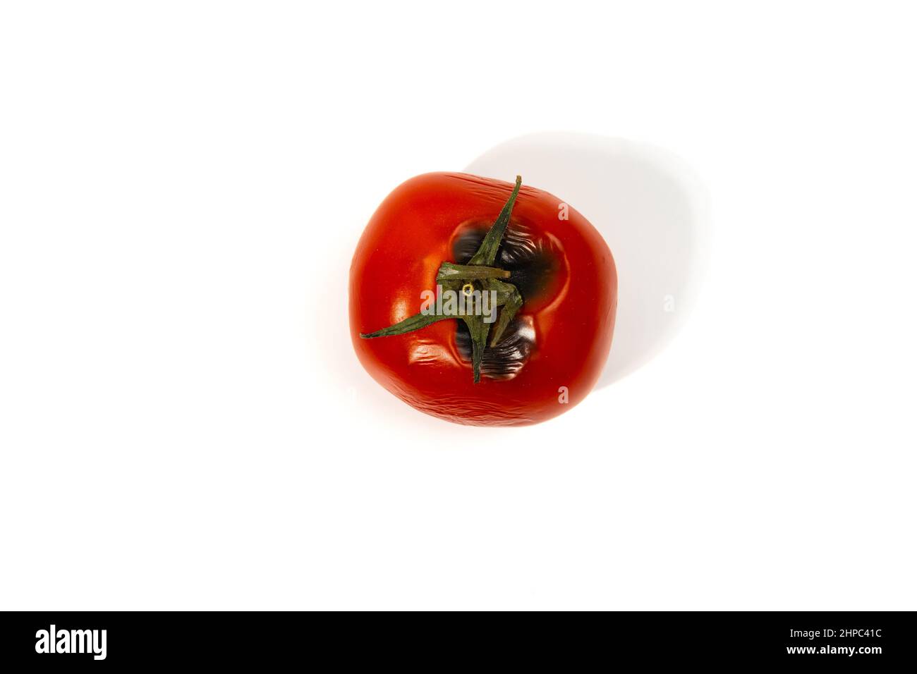 rotten tomato isolated on white background Stock Photo