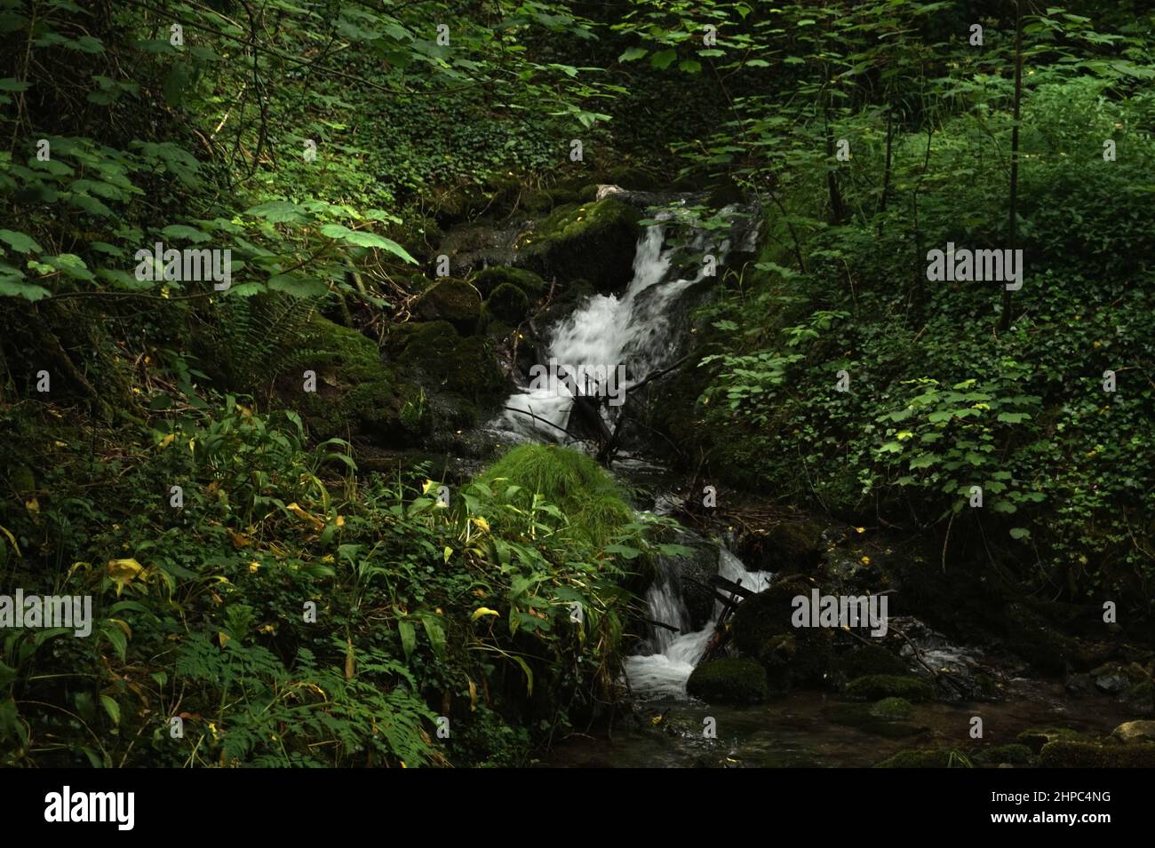 A small waterfall in a wood in the Peak District, UK Stock Photo