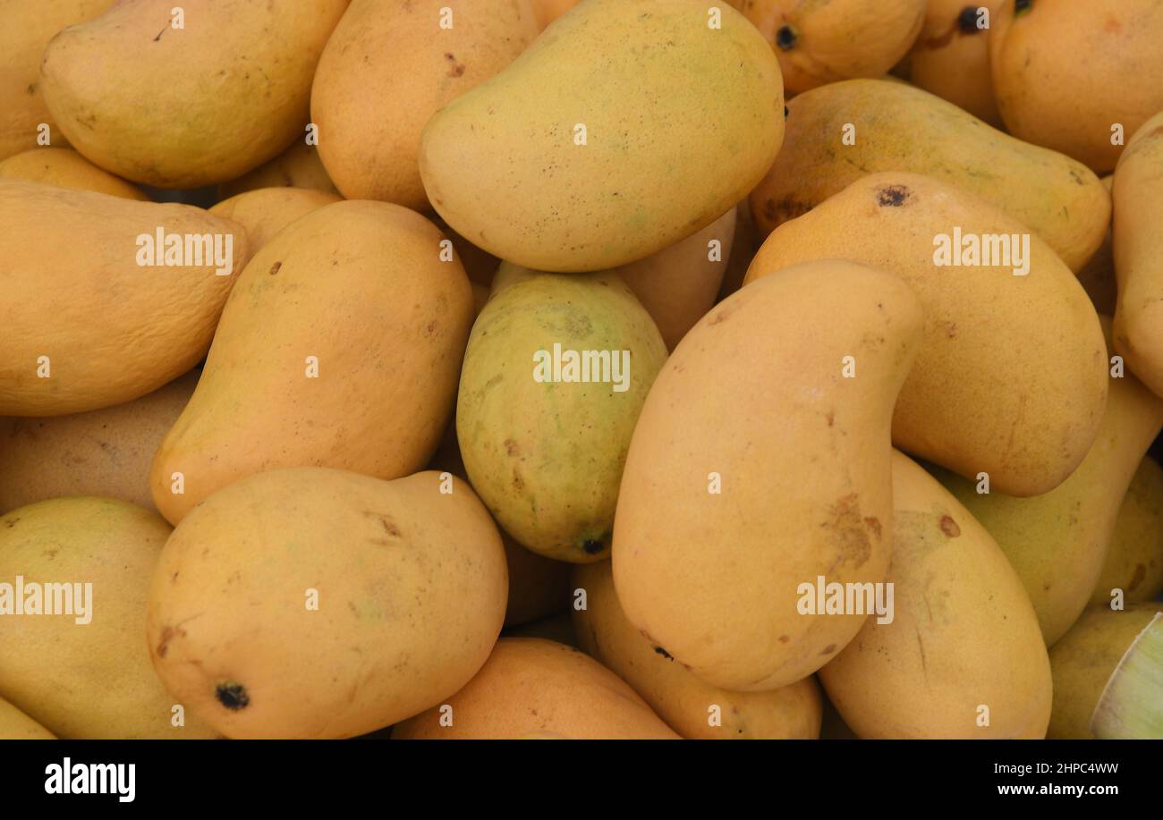 Copenhagen/Denmark./20 February 2022/.Sweet mangos display for sale on