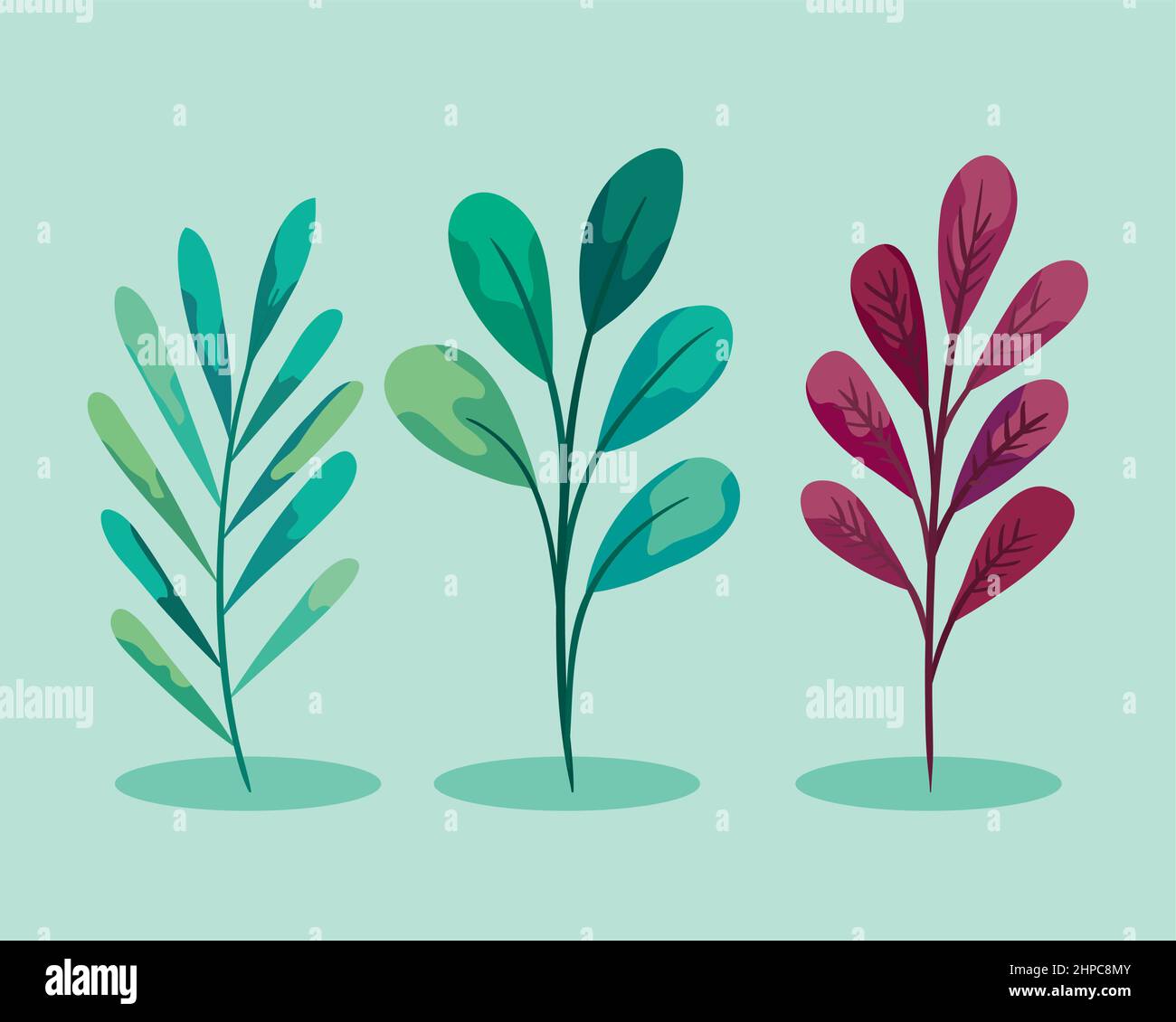 icons with branches of forest Stock Vector Image & Art - Alamy