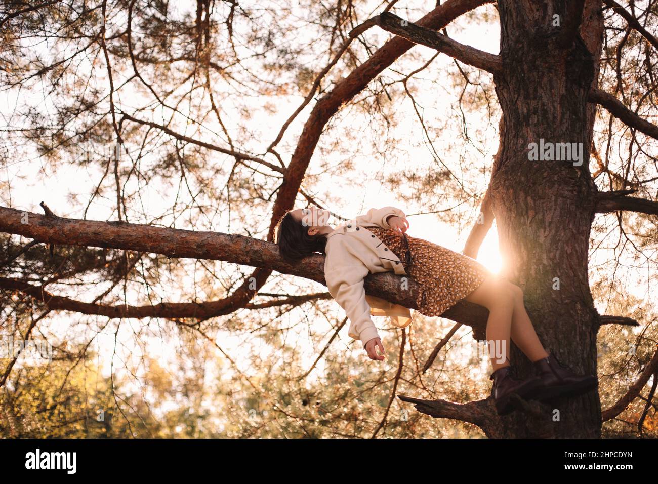 Teenage girl lying on pine tree branch in forest Stock Photo - Alamy