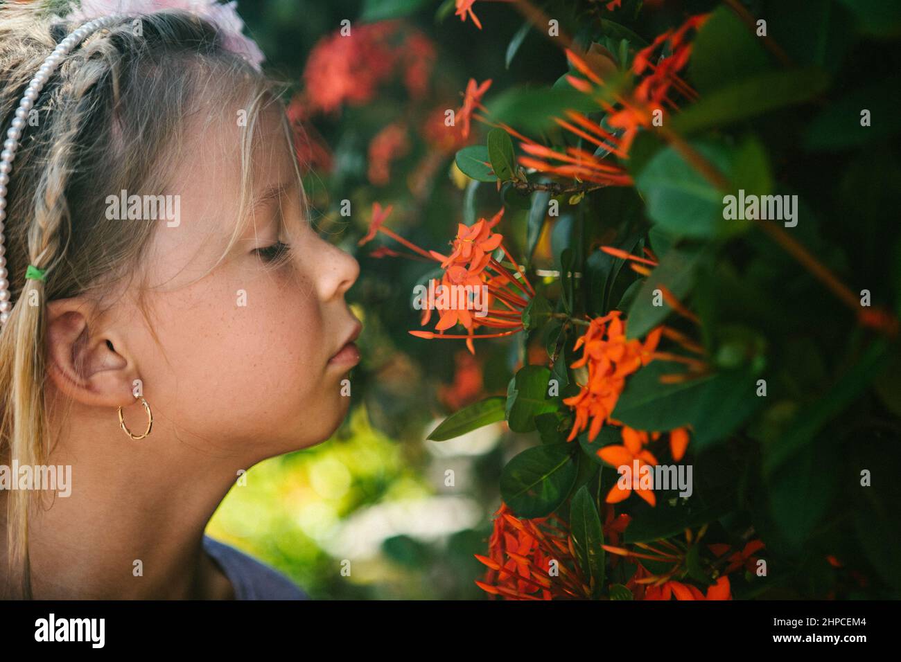 Girl smells beautiful orange tropical flowers Stock Photo