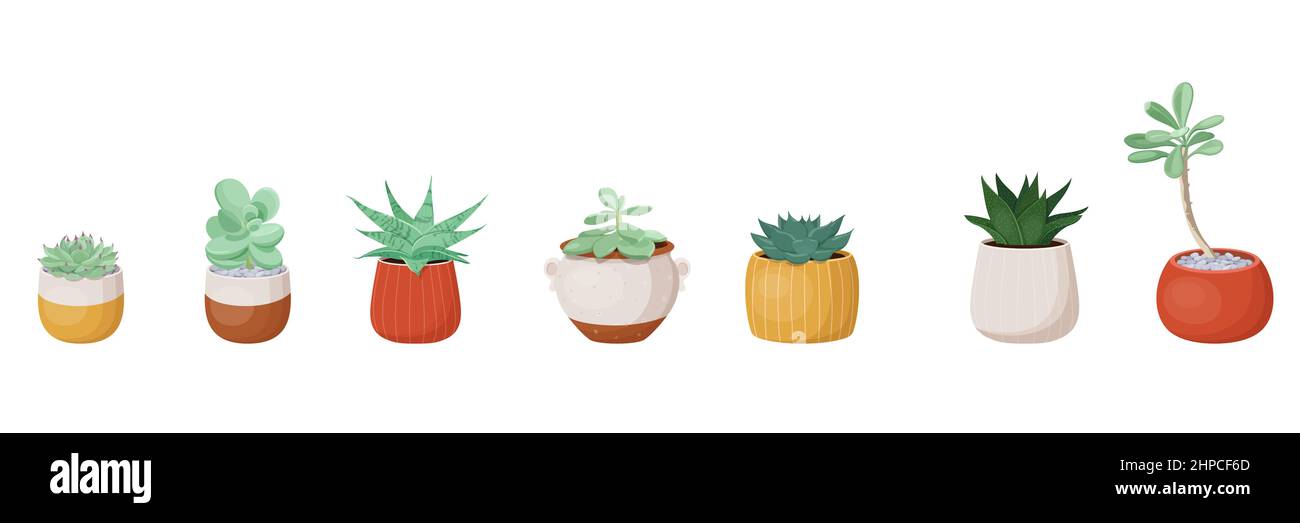 Different types flower in Cut Out Stock Images & Pictures - Alamy