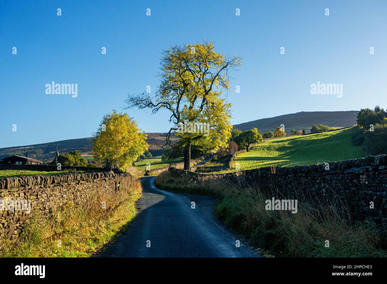 Beamsley Beacon from below on the steep Langbar road, a famous cycling hill climb, in autumn with North Yorkshire tree, UK Stock Photo