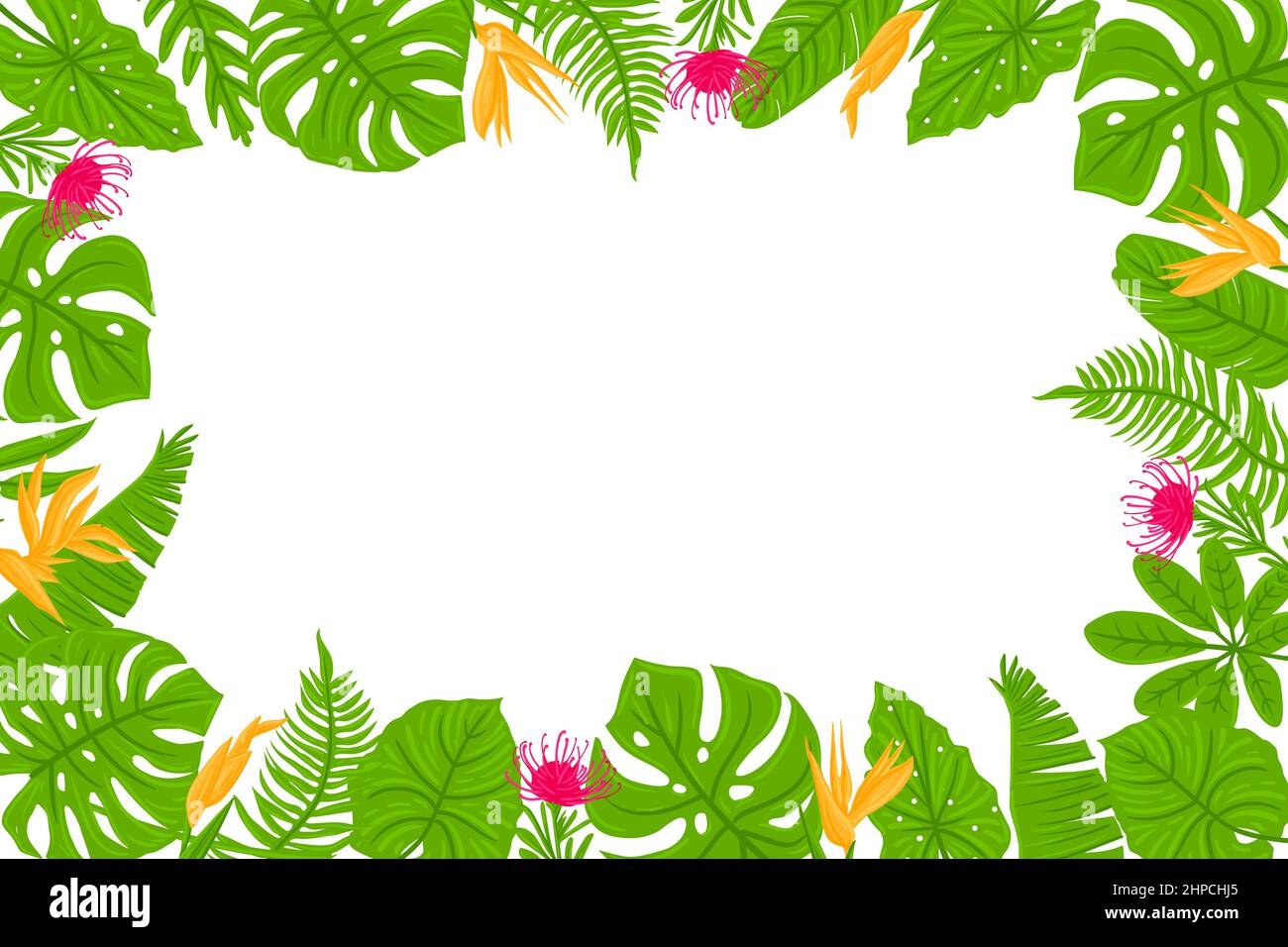 Tropical leaves frame. Summer Tropical palm tree on white background with  space for text. Summer mood, tropical background blank. Top view. Vector  illustration. Stock Vector