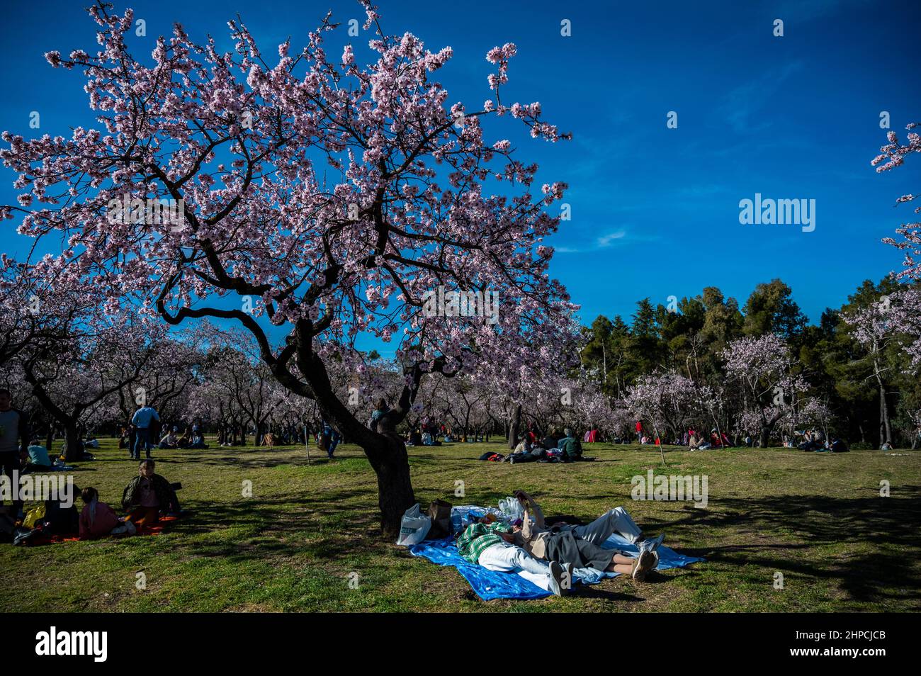 In my end is my beginning hi-res stock photography and images - Page 9 -  Alamy