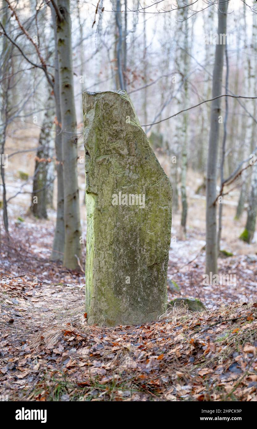 An old standing stone of uncertain origin on the side of Zvon hill in Central Bohemian Uplands, Czech republic. Stock Photo