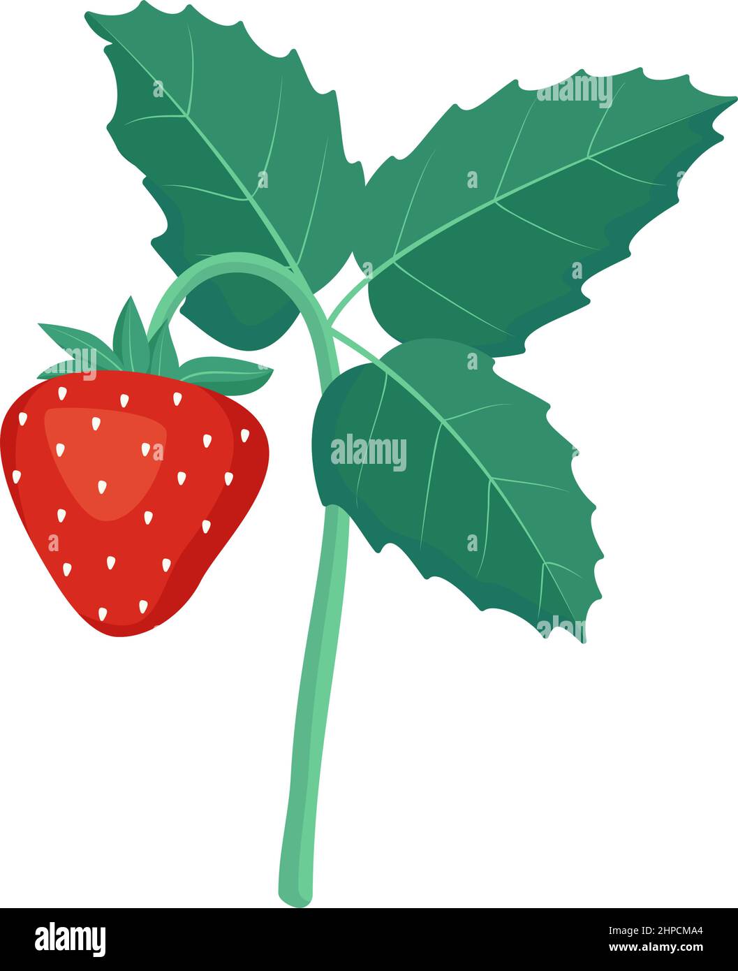 Strawberries with leaves. Harvesting in the garden or forest. Delicious sweet food, snack, dessert Stock Vector