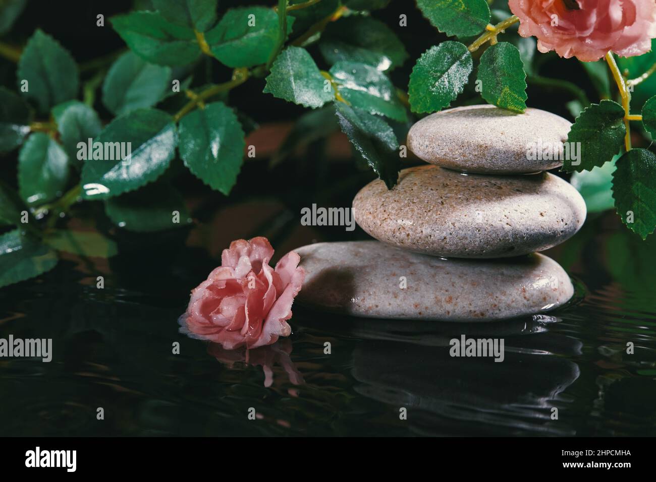 Still Life with Zen Stone, Candle and Plants in Water. Harmony, Relax and Health Care. Traditional Oriental Spa Concept Stock Photo