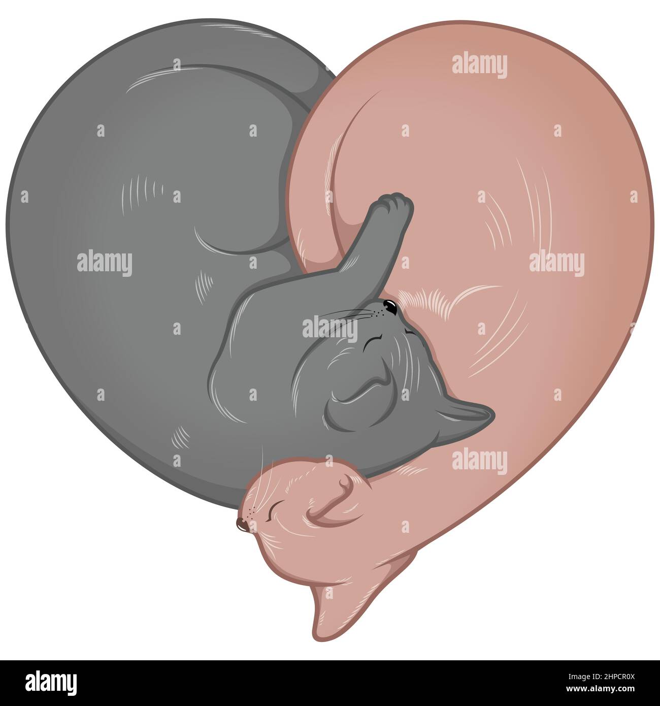 Heart shaped cats vector design, heart shaped pet Stock Vector