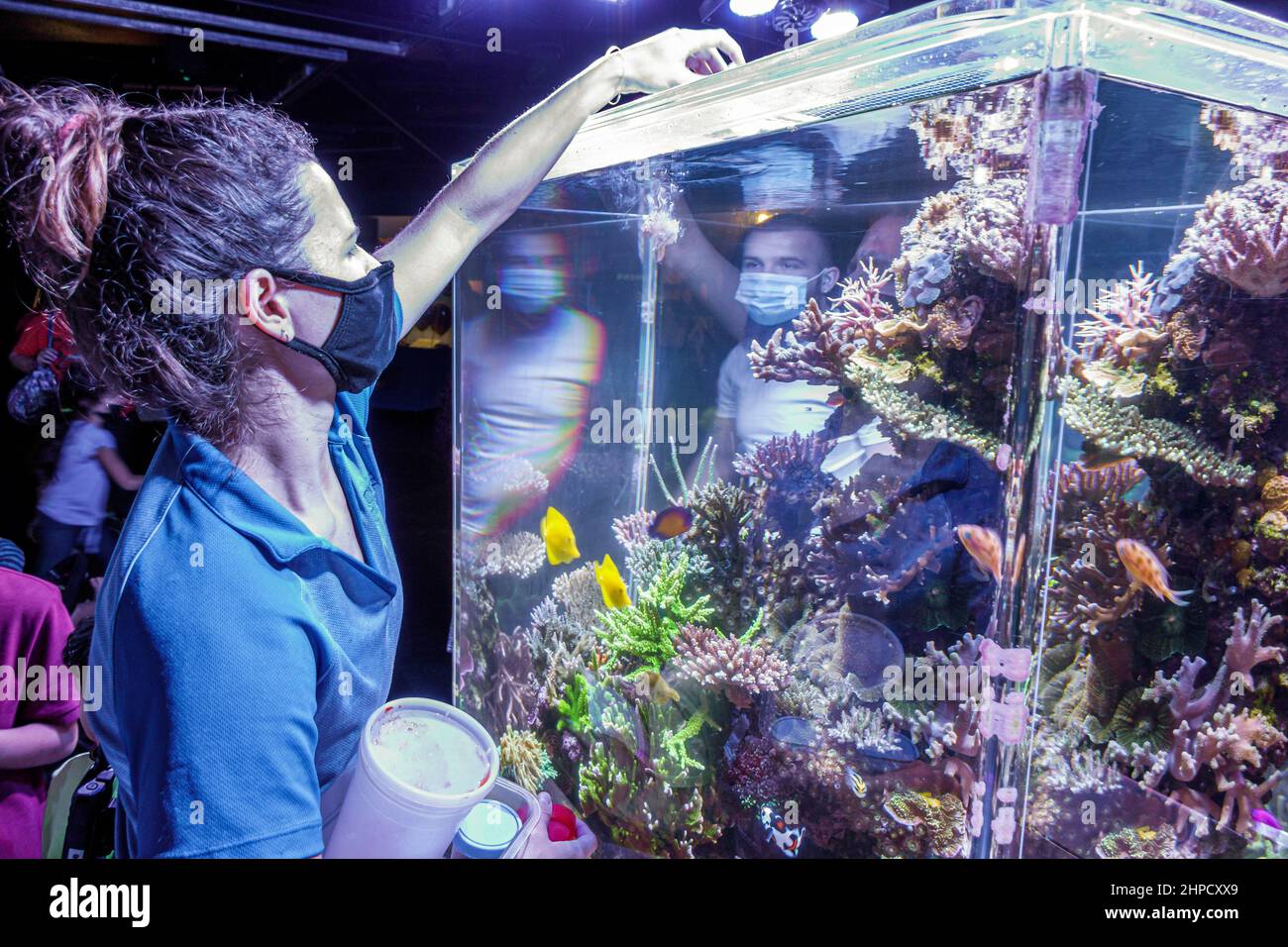 Miami Florida Phillip and Patricia Frost Museum of Science inside interior exhibit aquarium fish