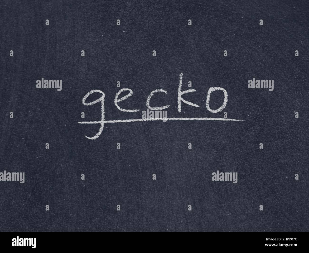 gecko concept word on blackboard background Stock Photo