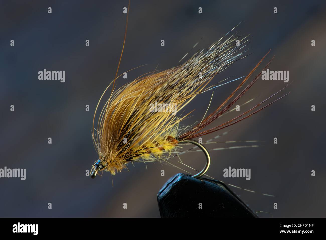 handmade fishing fly, fly tying Stock Photo